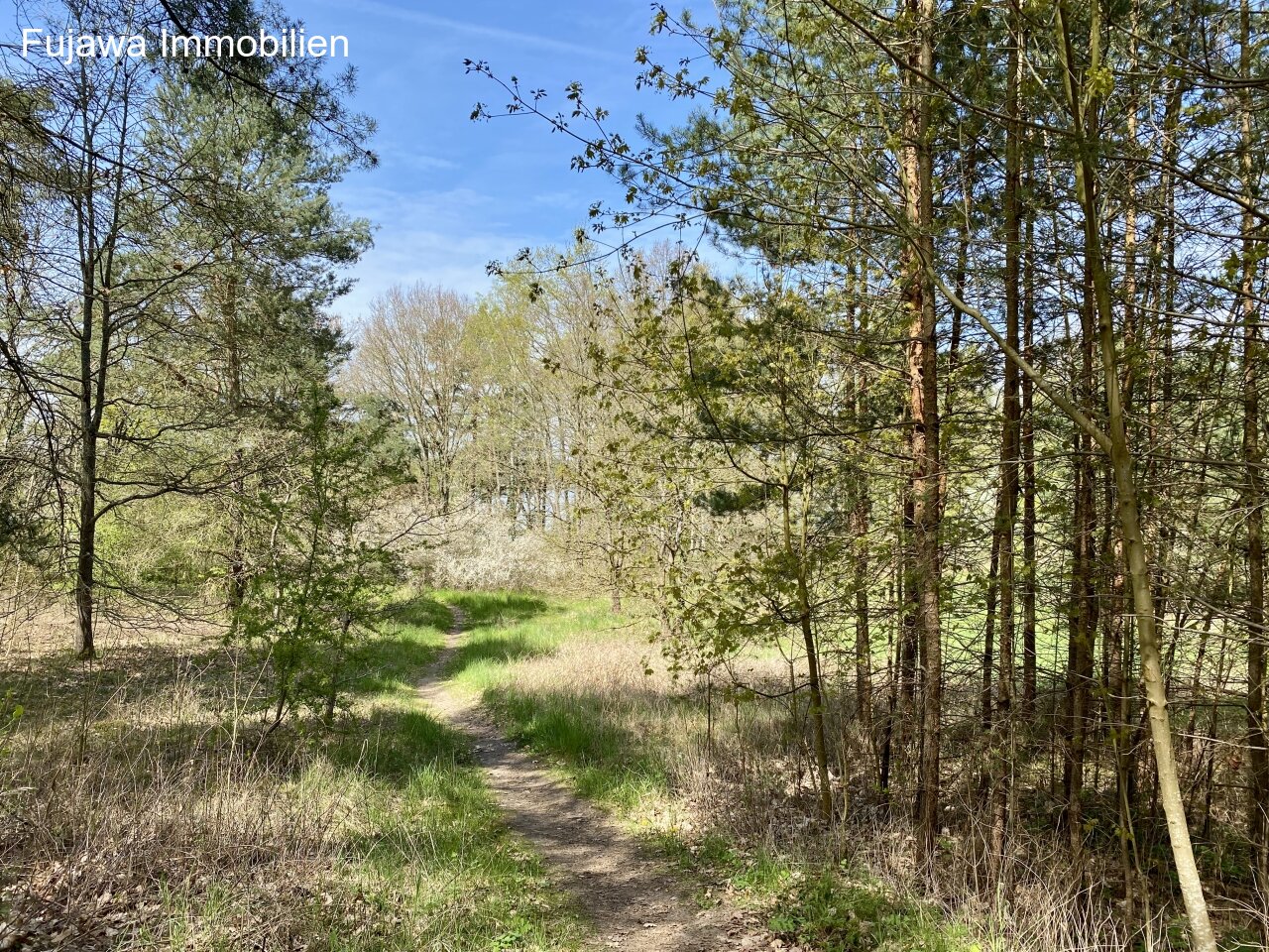 Kleiner Trampelpfad zwischen Ferienzentrum und See