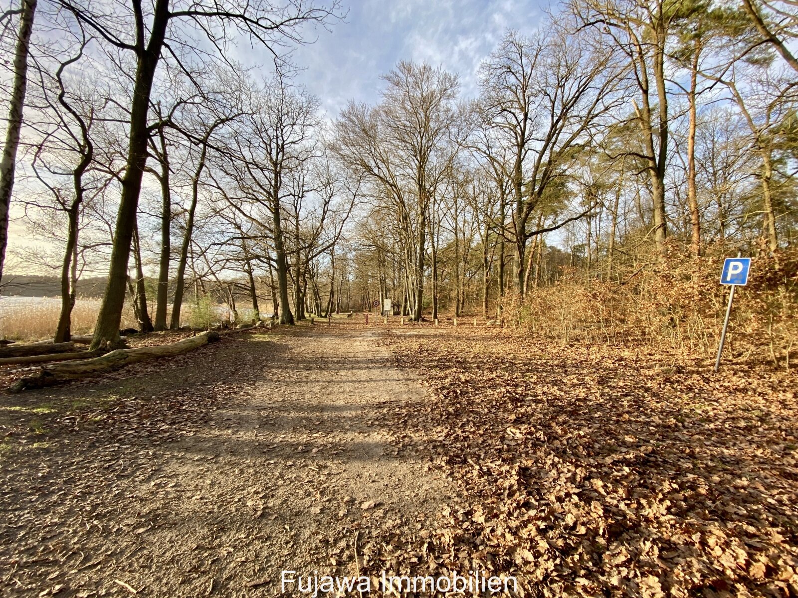 befahrbarer Wald-Weg zur Badestelle Nebelsee